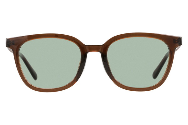 スペシャルプライス]ウェリントン型サングラス/TREND(WEB限定商品