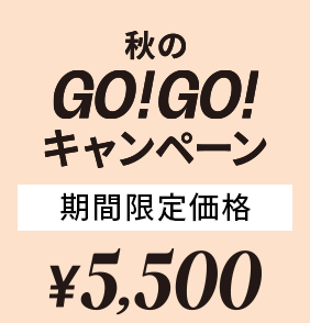 ブルーライトカットレンズ WEB限定特別価格 ￥0