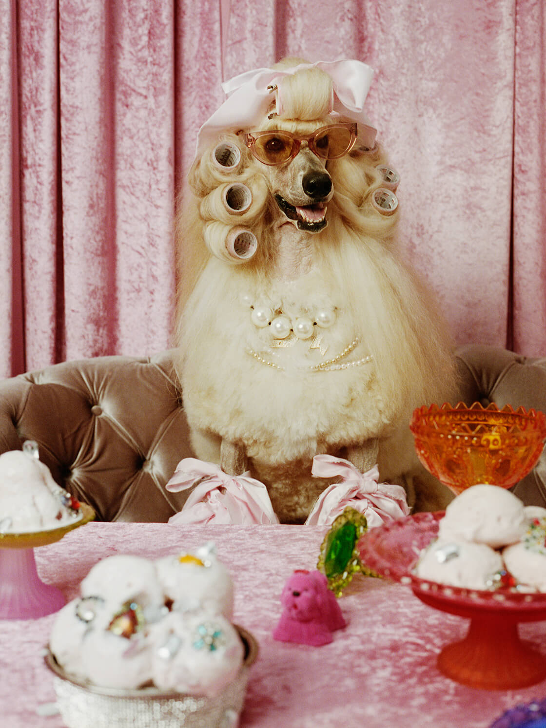 マダム・アイリスとその愛犬の奇妙な日常