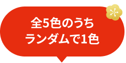 全5色のうち ランダムで1色