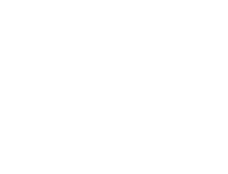 FLY KARASUNO HIGH SCHOOL