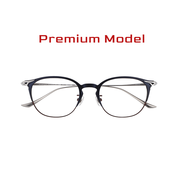 Premium Model