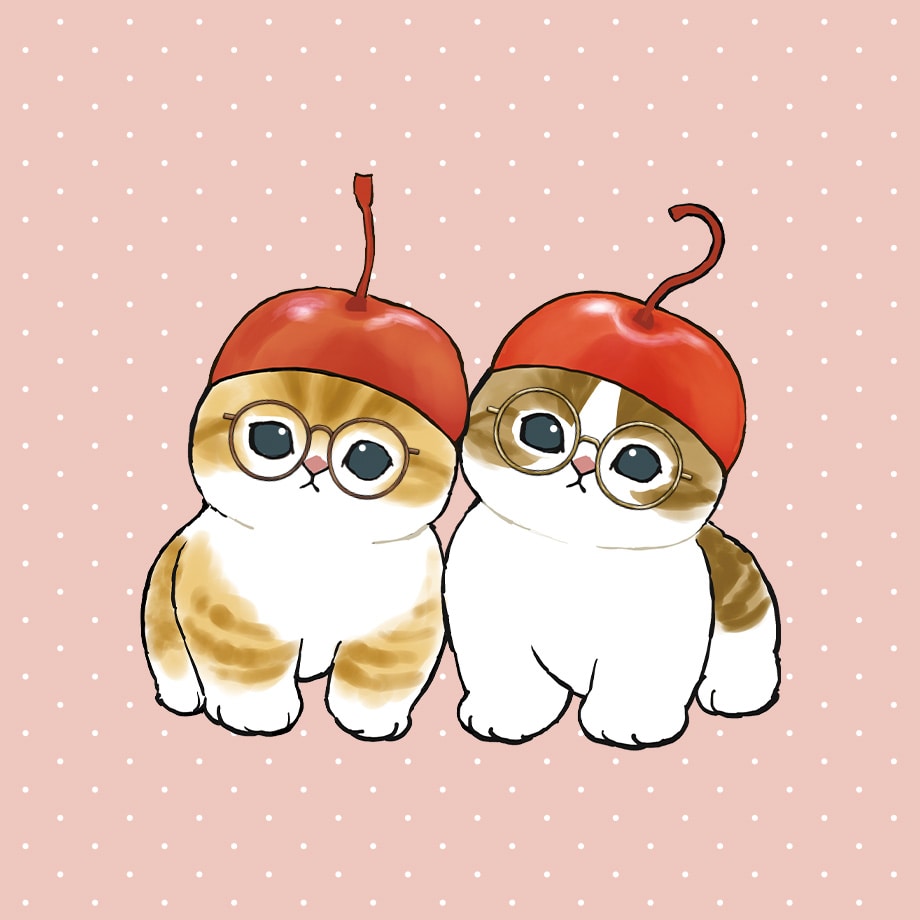 CASUAL LINE
