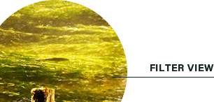 輪郭がくっきりと見えやすい 偏光ブラウンフィルター