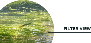 自然な見え方で疲れにくい 偏光グレーフィルター