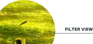 薄暗い条件下で明るく見える 偏光イエローフィルター