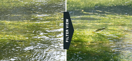 自然な見え方で疲れにくい 偏光グレーフィルター