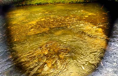 偏光機能搭載レンズ（イエローフィルター）