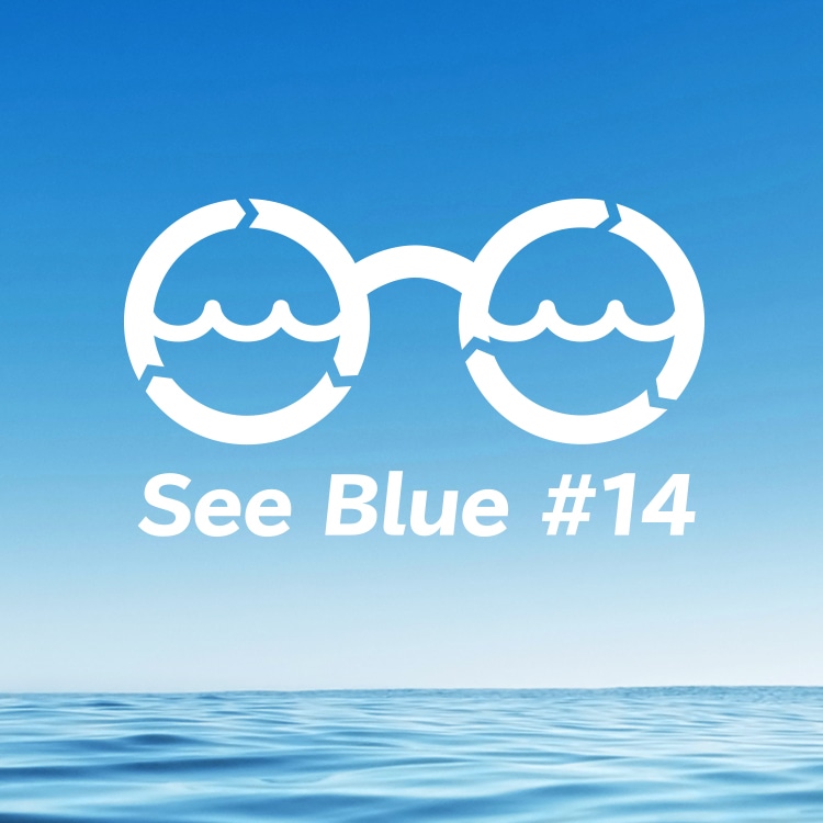 再生プラスチックからできたメガネ See Blue #14