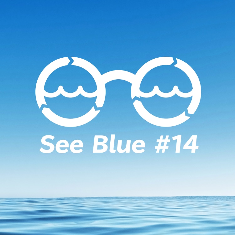 再生プラスチックからできたメガネ See Blue #14