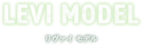 リヴァイ モデル