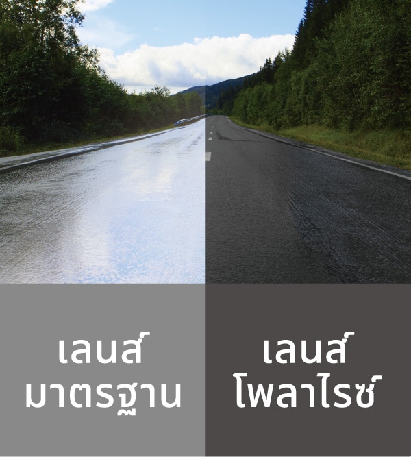 ซ้าย:เลนส์มาตรฐาน/ขวา:เลนส์โพลาไรซ์