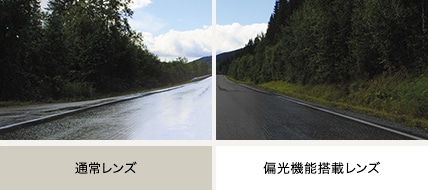 反射を抑えるレンズなので、ドライブや釣り、 スポーツ、海やプールなど様々なシーンにオススメ!
